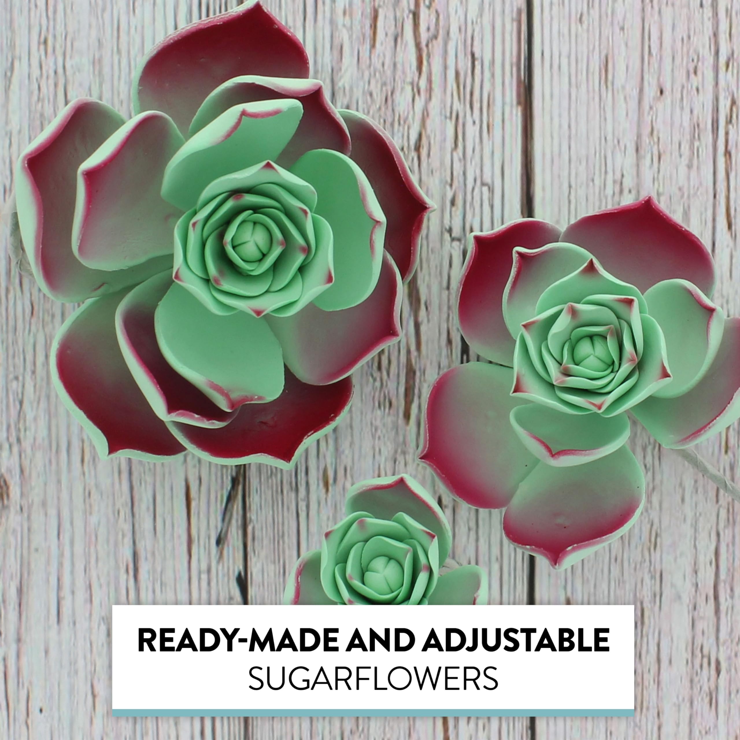 Global Sugar Art Succulent Taurus Sugar Cake Flowers Assortment with Wire, 3 Count by Chef Alan Tetreault