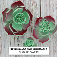 Global Sugar Art Succulent Taurus Sugar Cake Flowers Assortment with Wire, 3 Count by Chef Alan Tetreault