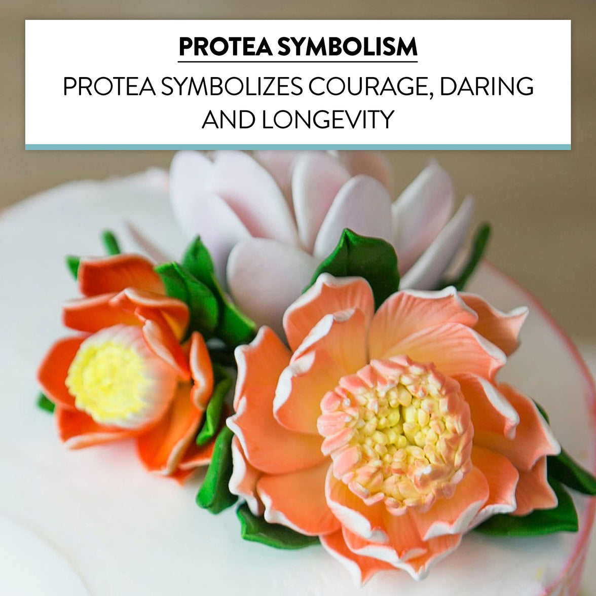 Protea Sugar Cake Flowers by Global Sugar Art, Large Tangerine, 1 Count