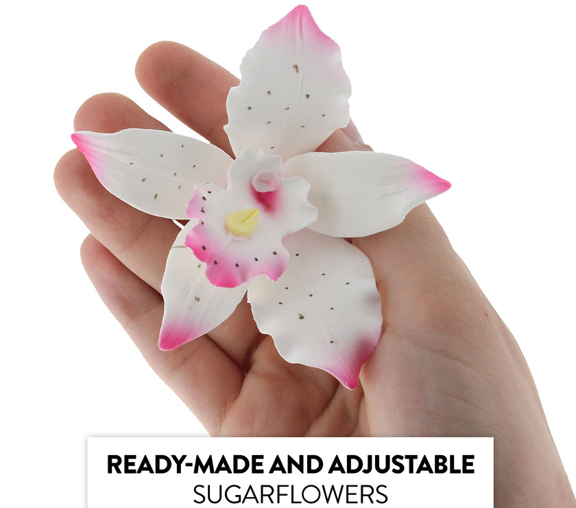 Orchid Sugar Cake Flowers, Brassavola Style Orchids, by Global Sugar Art, 3 Count, Pink