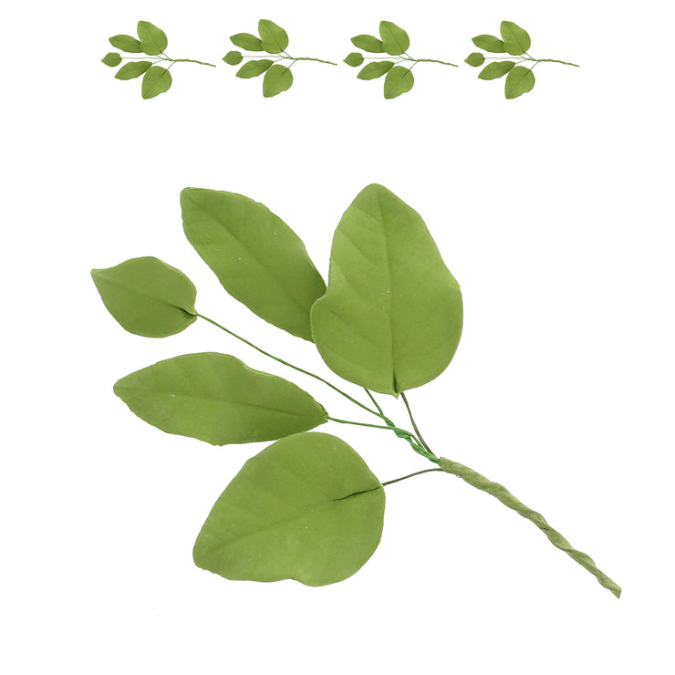 Light Green Gardenia Leaf Spray Cake Decoration by Chef Alan Tetreault, Global Sugar Art, 4 Count