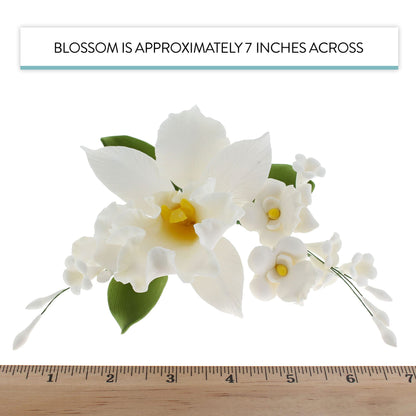 White Arched Cattleya Orchid Spray