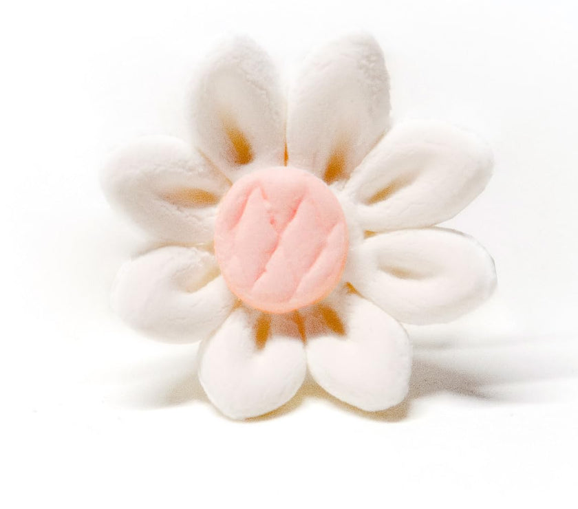 Edible Daisy Cake Decorations, White and Pink Sugar Flowers, Unwired 3/4 Inch, Daisy Cupcake Toppers, Edible Flowers Cake Decorations by Chef Alan Tetreault, Global Sugar Art