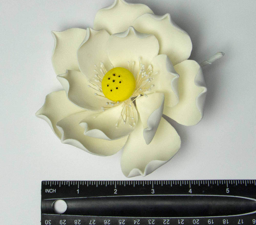 Global Sugar Art Lotus Blossom Jumbo 5 Inch Sugar Cake Flowers White with Wire, 3 Count by Chef Alan Tetreault