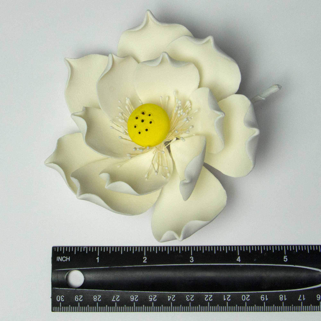 Global Sugar Art Lotus Blossom Jumbo 5 Inch Sugar Cake Flowers White with Wire, 3 Count by Chef Alan Tetreault