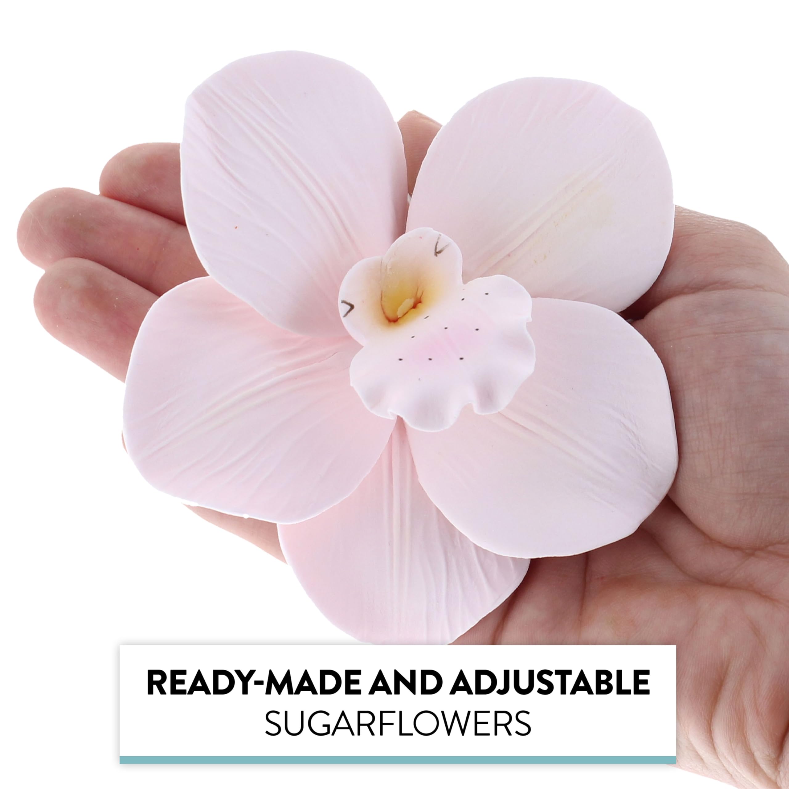 Orchid Sugar Cake Flowers, Cymbidium Orchids, by Global Sugar Art, Large, Pink, 3 Count