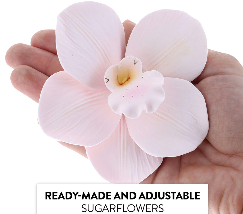 Orchid Sugar Cake Flowers, Cymbidium Orchids, by Global Sugar Art, Large, Pink, 3 Count