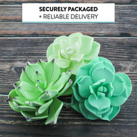 Global Sugar Art Succulents Sugar Cake Flowers, Garden Variety, by Chef Alan Tetreault