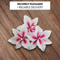 Stargazer Lily Cake Topper, Sugar Flower Lilies by Global Sugar Art, Pink and White, Extra Large, 3 Count