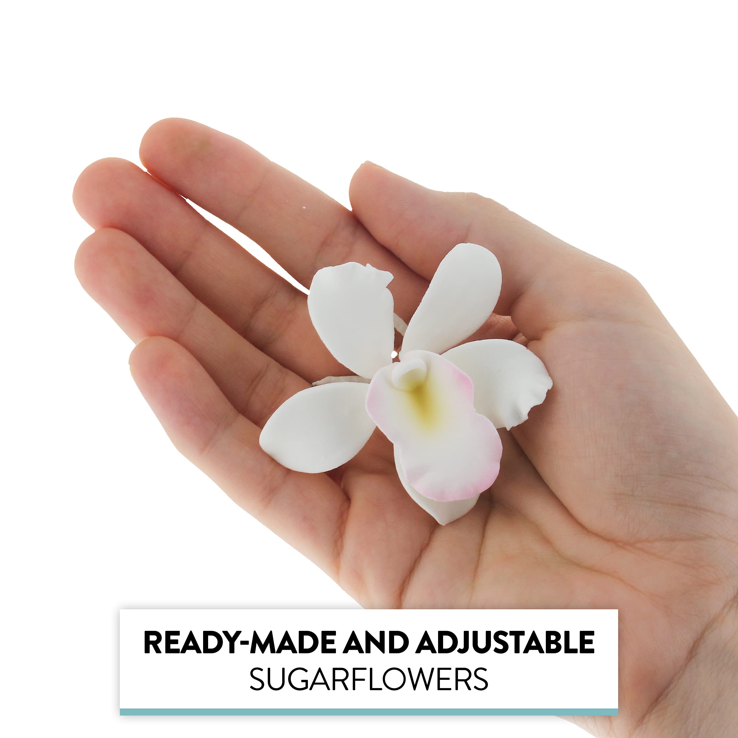 Orchid Sugar Cake Flowers, Pearly Orchids, by Global Sugar Art, Small, White, 6 Count