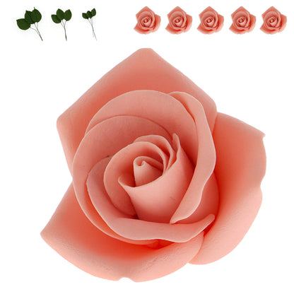 Apricot Peace Rose Kit with Leaves, 2-inch, 14-Piece Set
