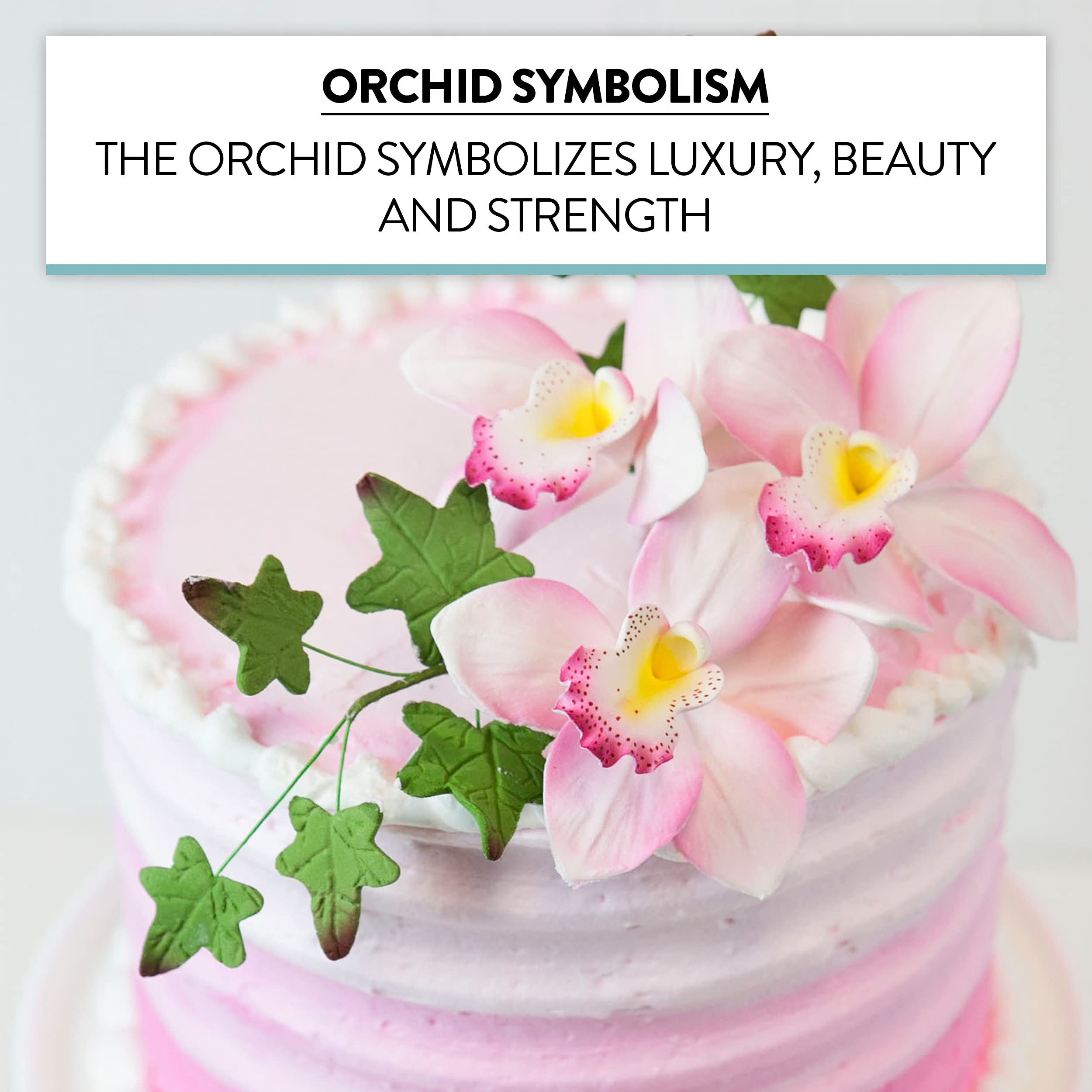 Orchid Sugar Cake Flowers, Cymbidium Orchids, by Global Sugar Art, Pink, 3 Count