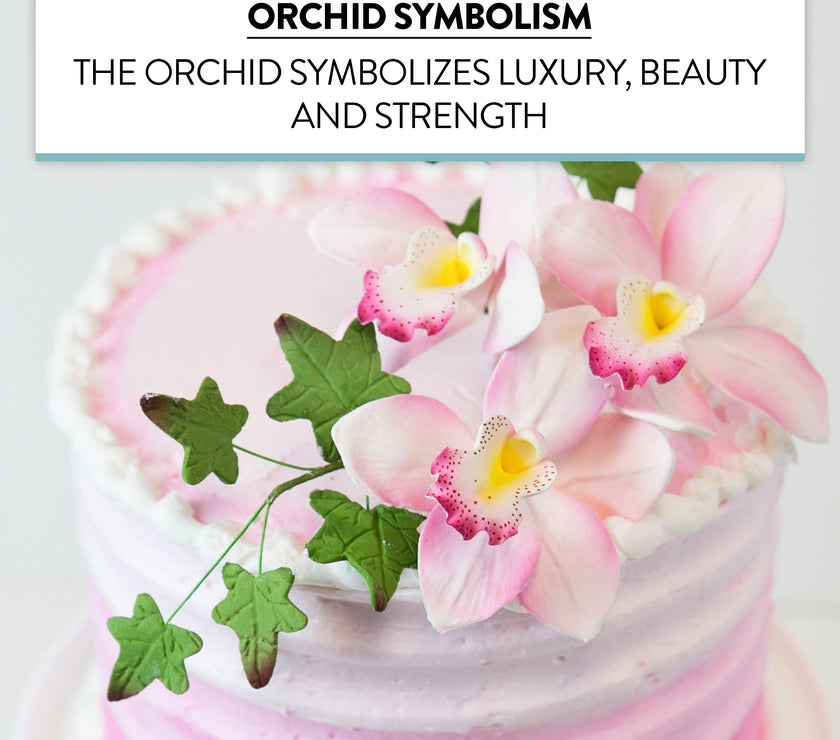 Orchid Sugar Cake Flowers, Cymbidium Orchids, by Global Sugar Art, Pink, 3 Count