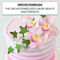 Orchid Sugar Cake Flowers, Cymbidium Orchids, by Global Sugar Art, Pink, 3 Count