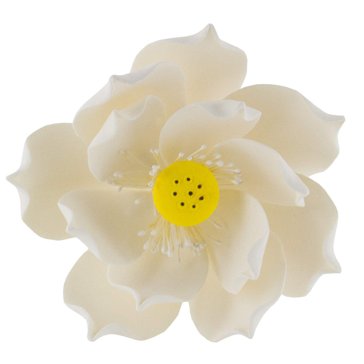 Global Sugar Art Lotus Blossom Jumbo 5 Inch Sugar Cake Flowers White with Wire, 3 Count by Chef Alan Tetreault