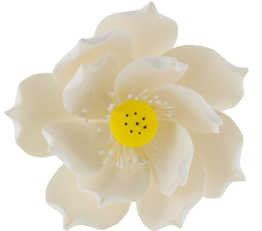 Global Sugar Art Lotus Blossom Jumbo 5 Inch Sugar Cake Flowers White with Wire, 3 Count by Chef Alan Tetreault