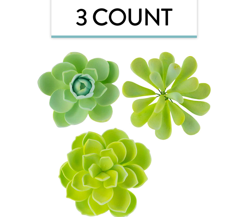 Global Sugar Art Succulent Vibrant Mixed Assortment Sugar Cake Flowers, 3 Count by Chef Alan Tetreault