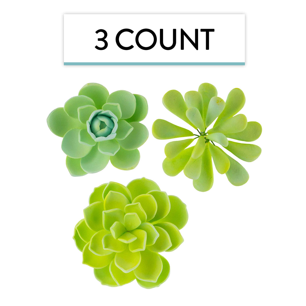 Global Sugar Art Succulent Vibrant Mixed Assortment Sugar Cake Flowers, 3 Count by Chef Alan Tetreault