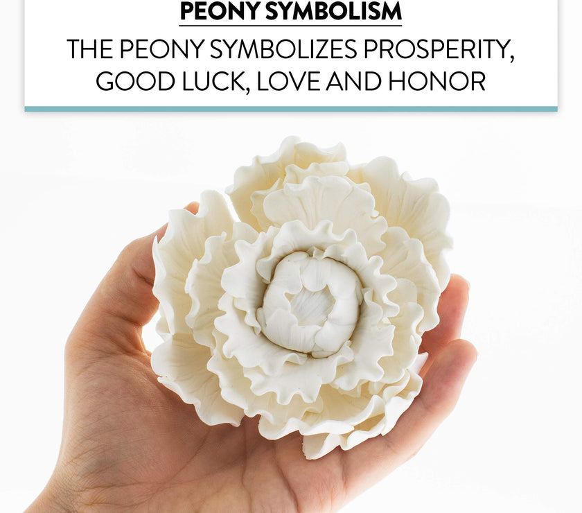 Premium Peony Sugar Flower by Global Sugar Art, White