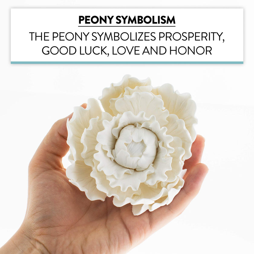 Premium Peony Sugar Flower by Global Sugar Art, White