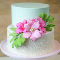 Clematis Gum Paste Sugar Cake Flowers by Global Sugar Art, Pink, 3 Count