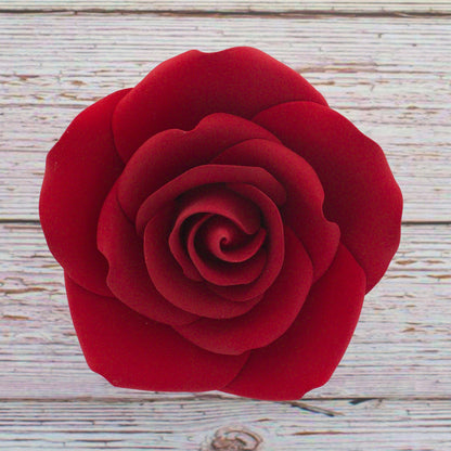 Red Rose, Jumbo Bloom
