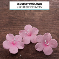 Global Sugar Art Fruit Blossom Sugar Cake Flowers by Chef Alan Tetreault