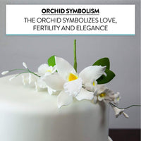 Orchid Sugar Cake Flower Sprays, White Cymbidium Orchid Spray, by Global Sugar Art