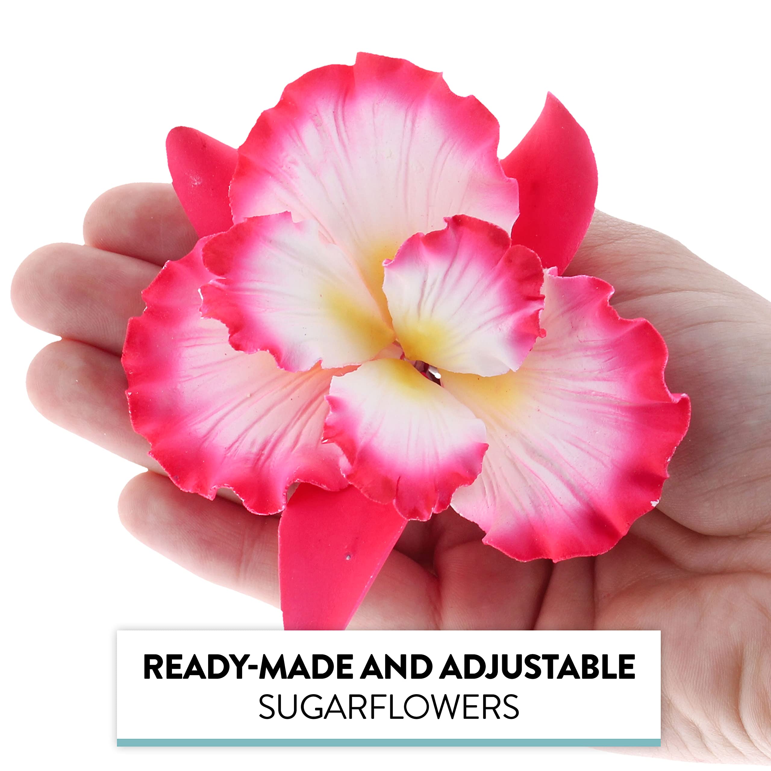 Dutch Iris Sugar Cake Flower, Cake Topper by Global Sugar Art, Pink