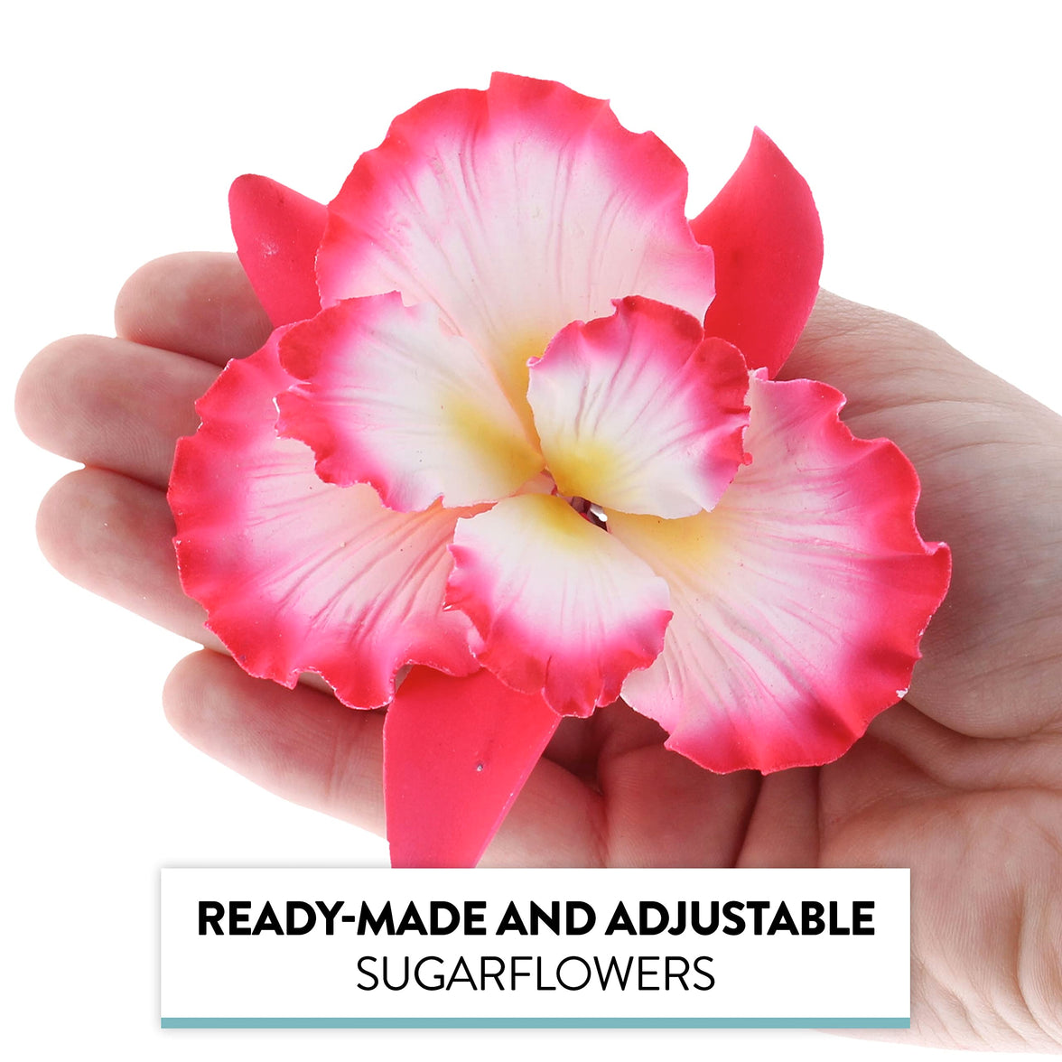 Dutch Iris Sugar Cake Flower, Cake Topper by Global Sugar Art, Pink