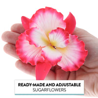 Dutch Iris Sugar Cake Flower, Cake Topper by Global Sugar Art, Pink