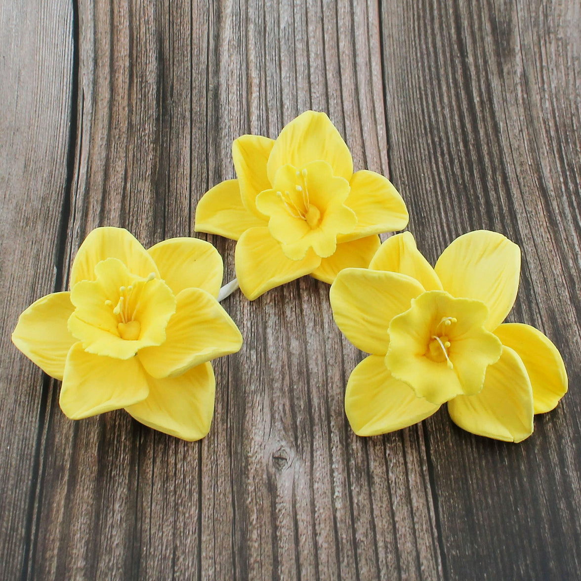 Daffodil Sugar Cake Flowers by Global Sugar Art, Yellow, 6 Count