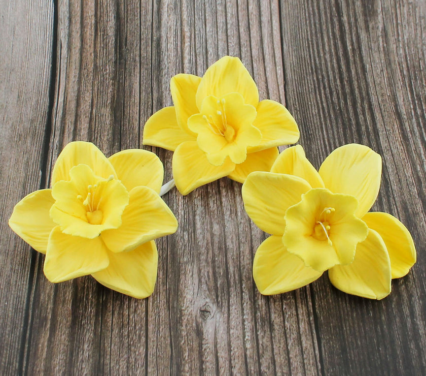 Daffodil Sugar Cake Flowers by Global Sugar Art, Yellow, 6 Count