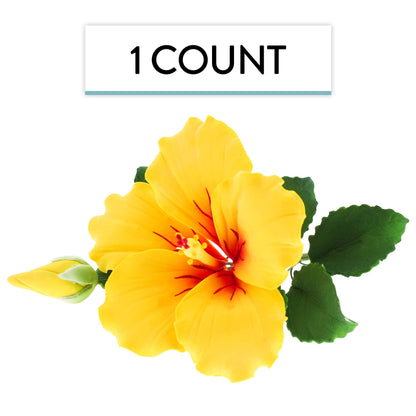 Yellow Tropical Hibiscus with Leaves