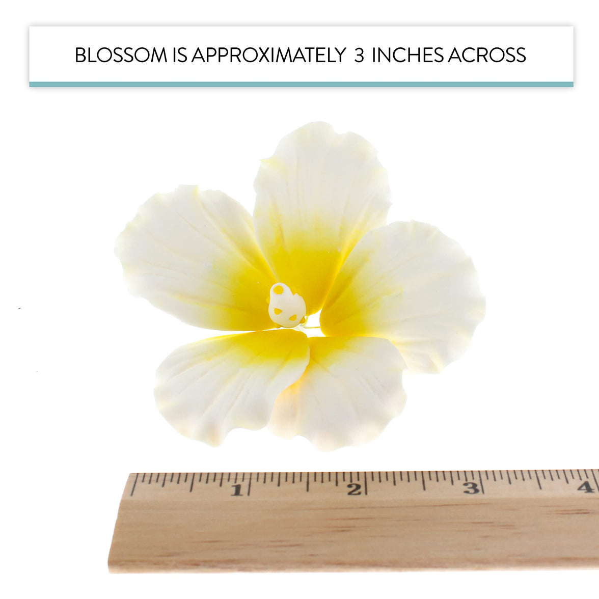 Hibiscus Sugar Cake Flowers, White and Yellow Tropical Sugar Flowers, by Global Sugar Art