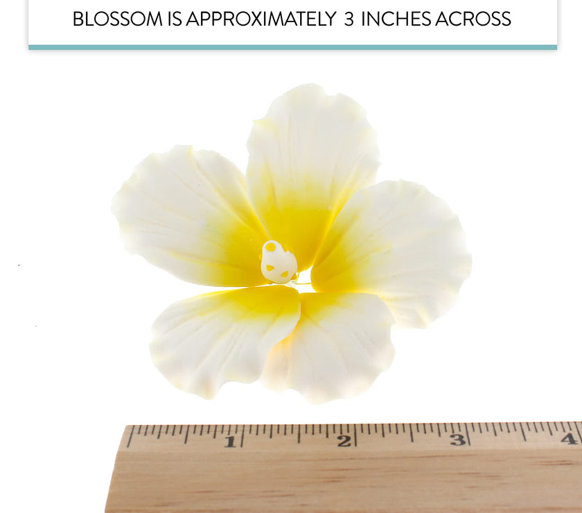 Hibiscus Sugar Cake Flowers, White and Yellow Tropical Sugar Flowers, by Global Sugar Art