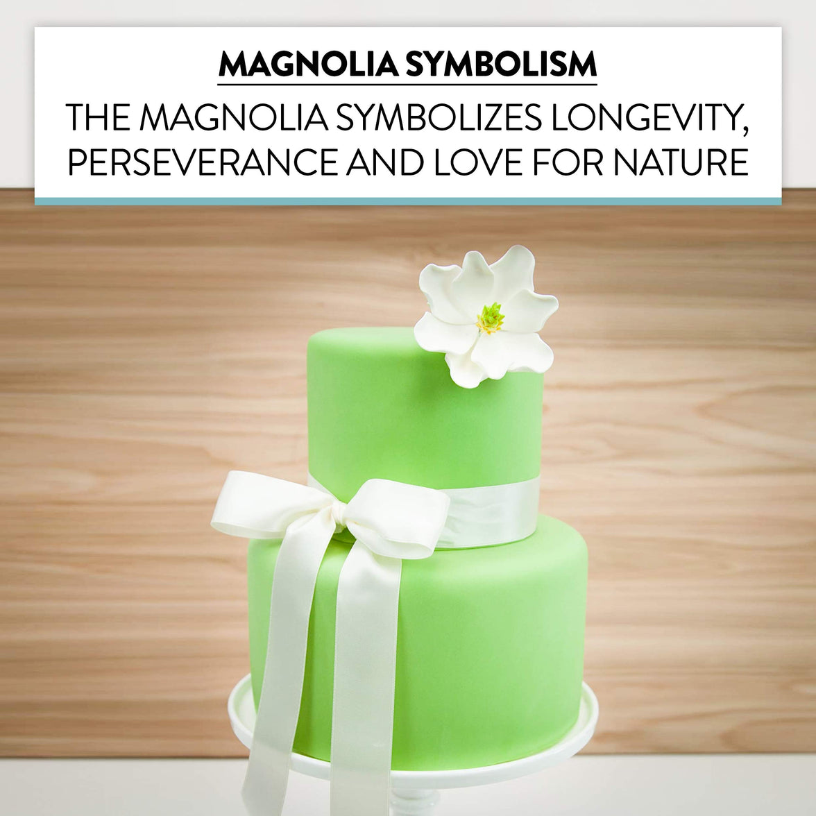 Magnolia Blossom Sugar Cake Flowers by Global Sugar Art, White, Large, 3 Count