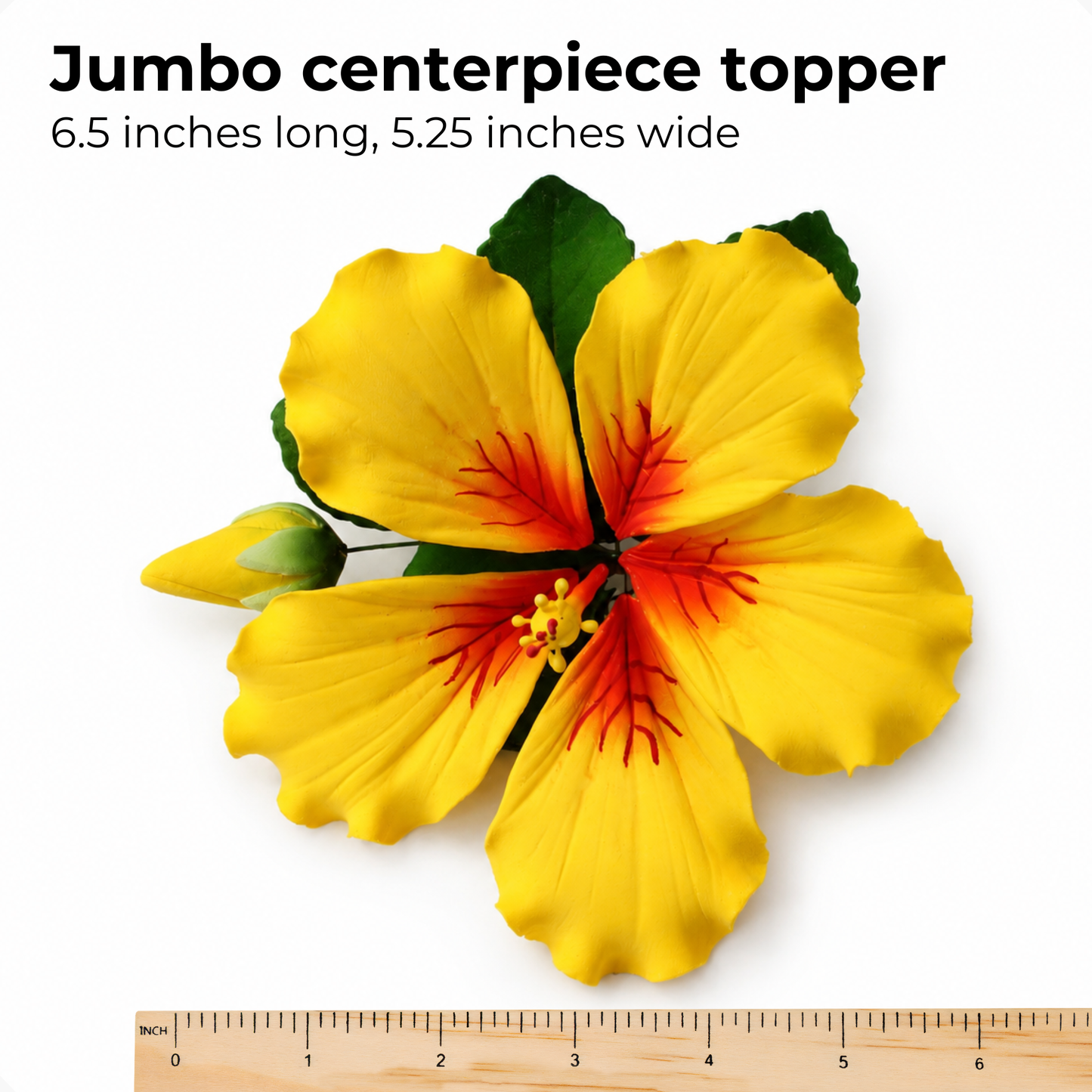 Yellow Tropical Hibiscus with Leaves