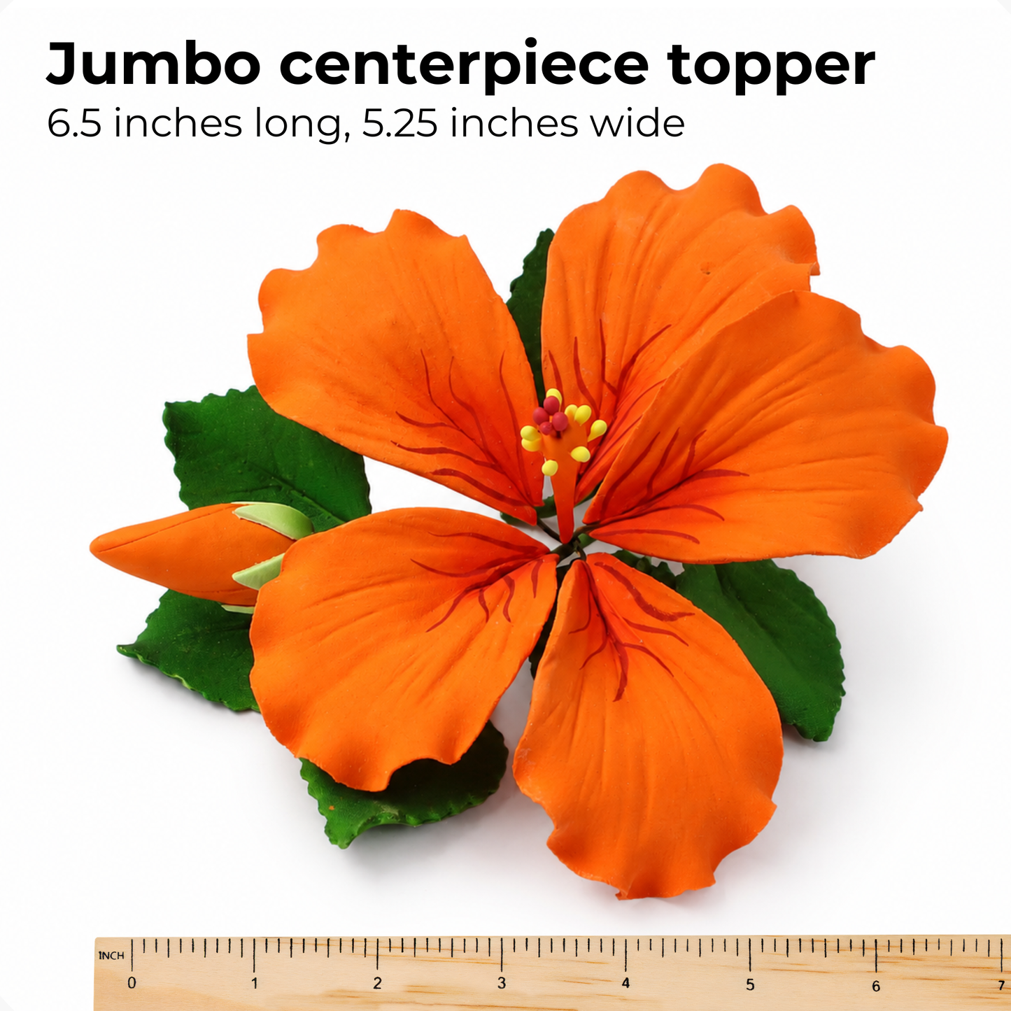 Orange Tropical Hibiscus with Leaves
