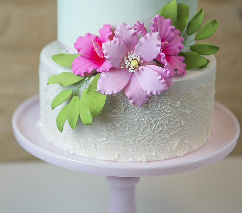 Clematis Gum Paste Sugar Cake Flowers by Global Sugar Art, Pink, 3 Count