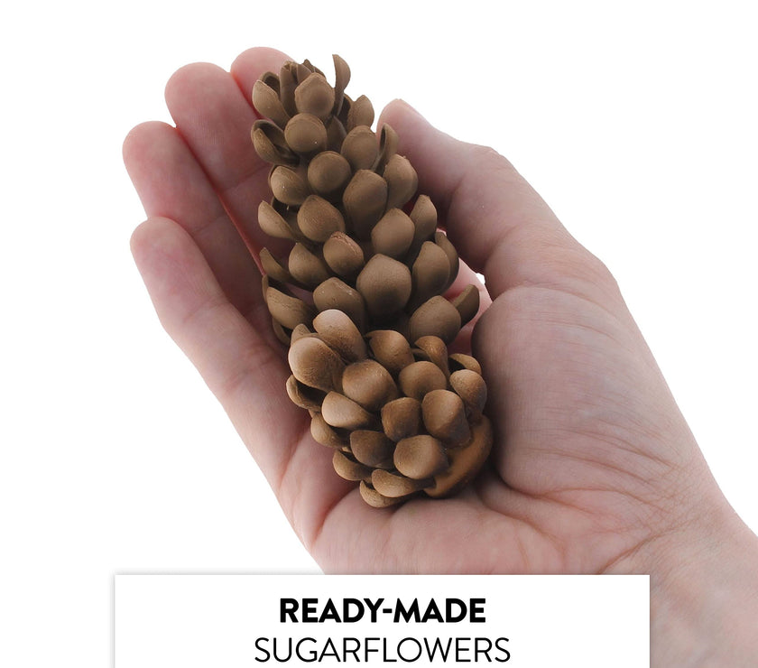 Global Sugar Art Pinecone Assortment Sugar Cake Flowers, 5 Count by Chef Alan Tetreault
