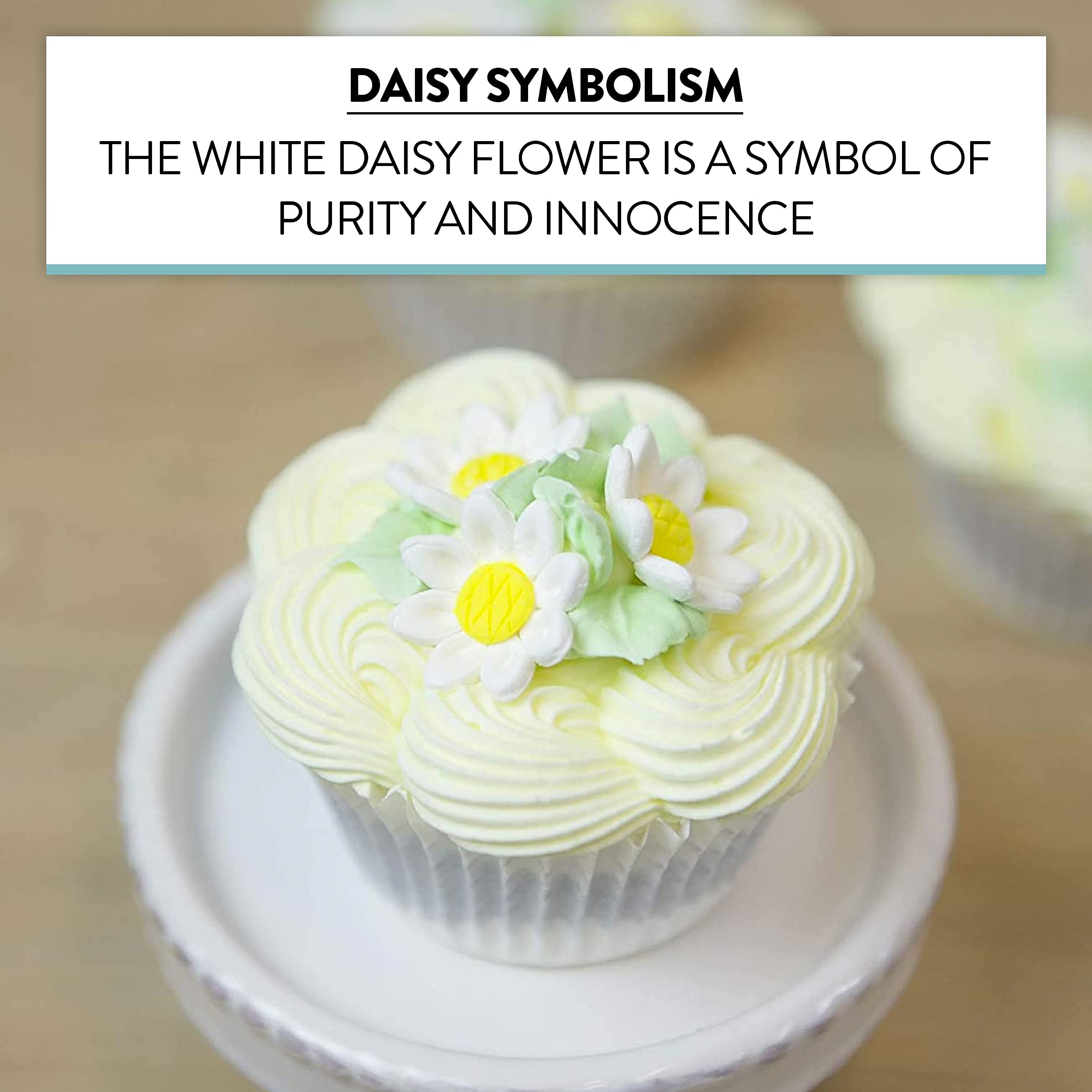 Edible Daisy Cake Decorations, White and Yellow Sugar Flowers, Unwired 3/4 Inch, Daisy Cupcake Toppers, Edible Flowers Cake Decorations by Chef Alan Tetreault, Global Sugar Art