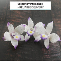 Orchid Sugar Cake Flowers, Brassavola Style Orchids, by Global Sugar Art, 3 Count, Purple