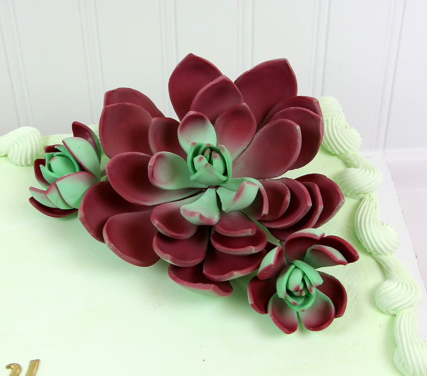 Global Sugar Art Succulent Romeo Sugar Cake Flowers Assortment with Wire, 3 Count by Chef Alan Tetreault