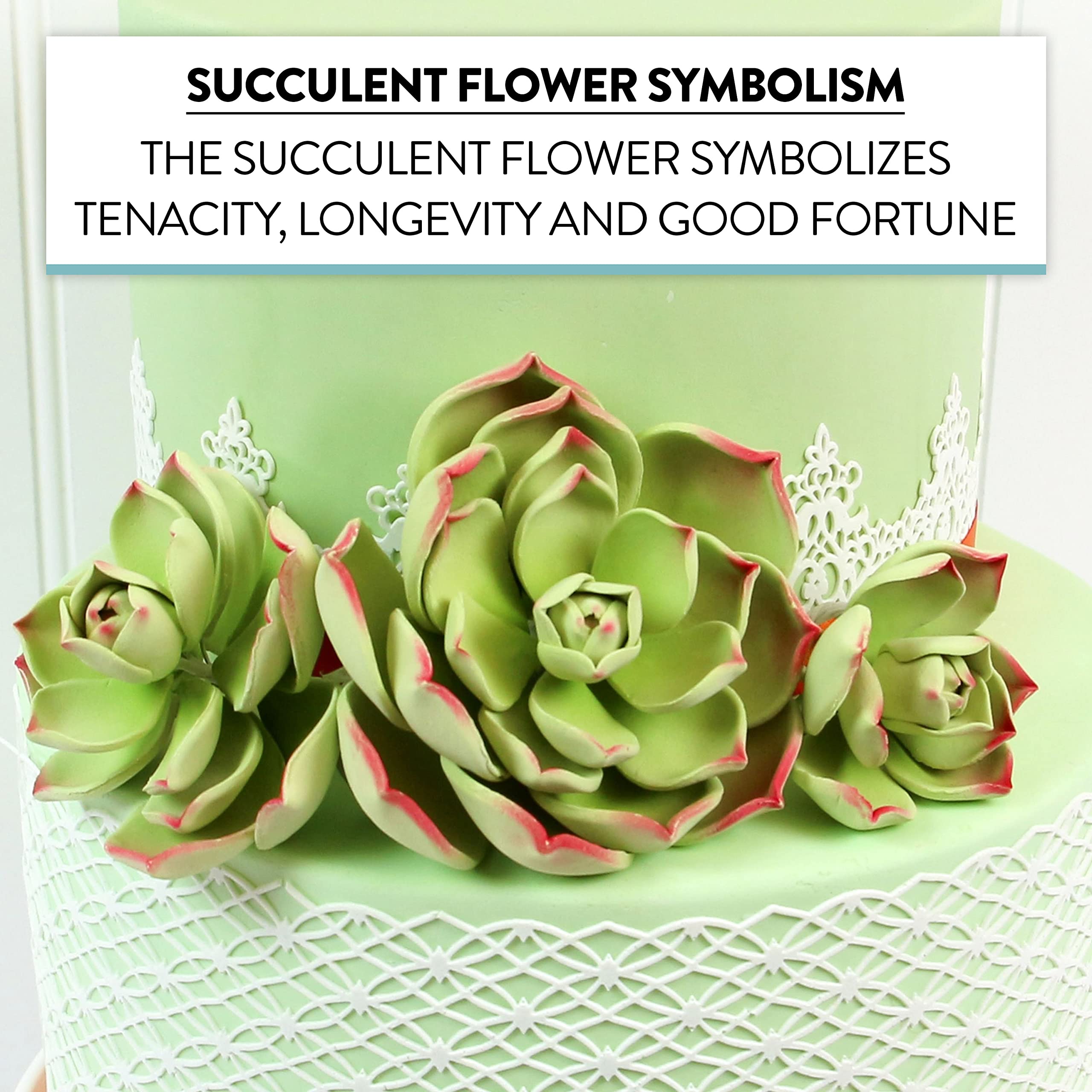 Global Sugar Art Succulent Parva Large Cake Flower with Wire, 1 Count by Chef Alan Tetreault