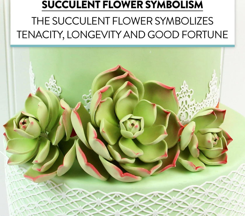 Global Sugar Art Succulent Parva Large Cake Flower with Wire, 1 Count by Chef Alan Tetreault