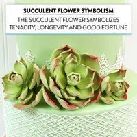 Global Sugar Art Succulent Parva Large Cake Flower with Wire, 1 Count by Chef Alan Tetreault