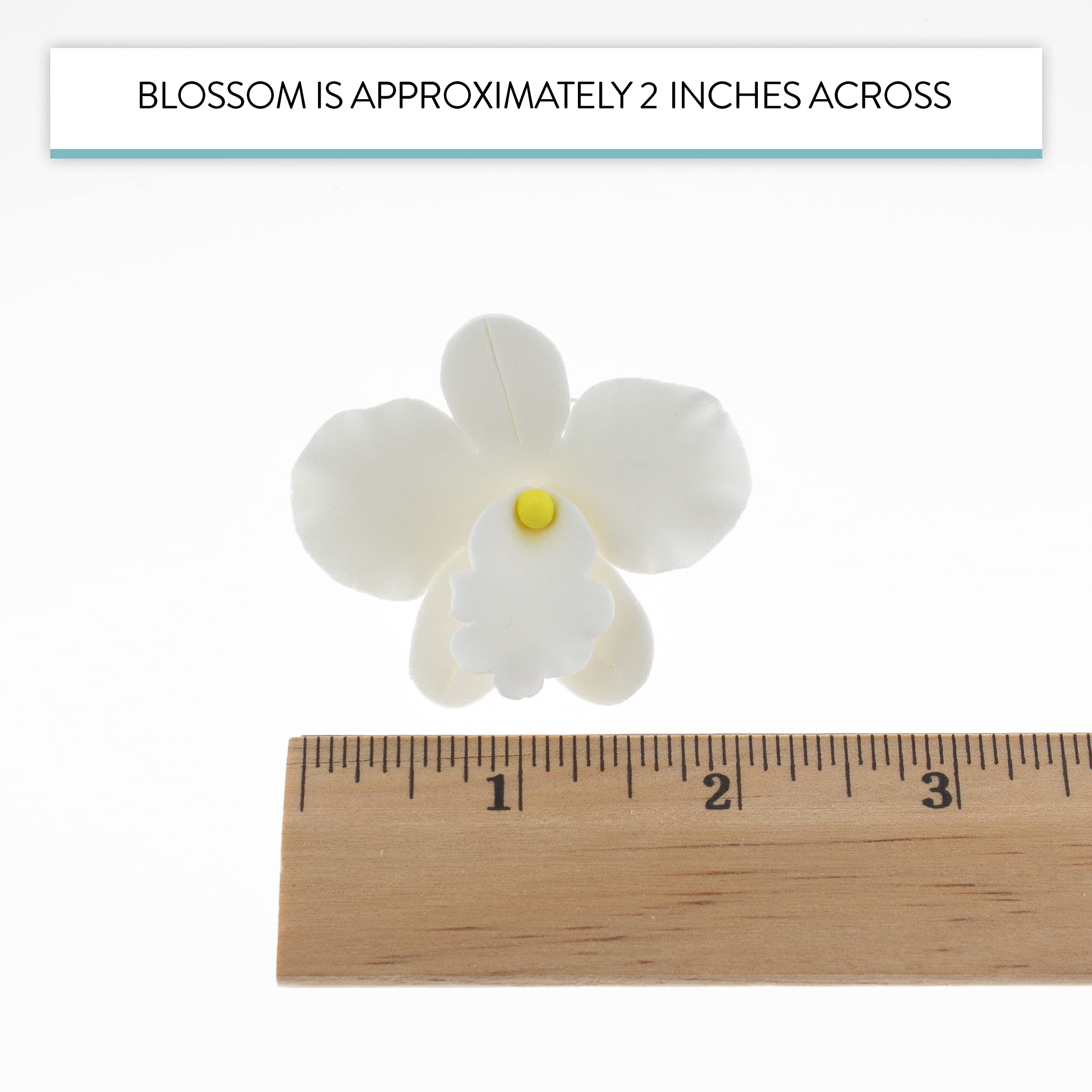 Orchid Sugar Cake Flowers, African Orchids, by Global Sugar Art, White, 6 Count