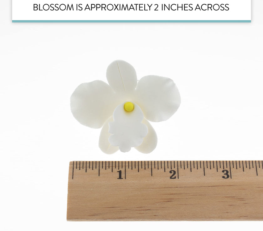 Orchid Sugar Cake Flowers, African Orchids, by Global Sugar Art, White, 6 Count