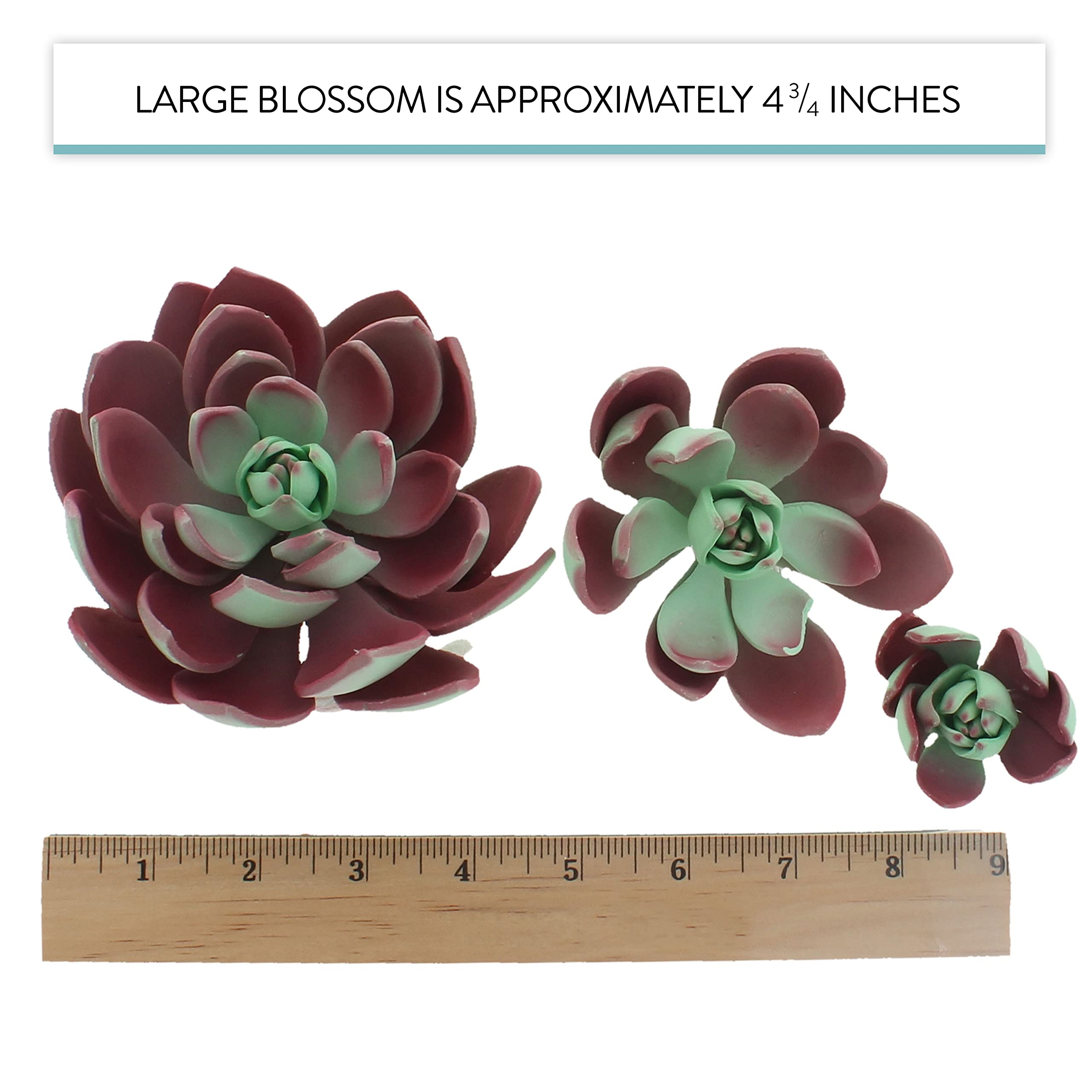 Global Sugar Art Succulent Romeo Sugar Cake Flowers Assortment with Wire, 3 Count by Chef Alan Tetreault